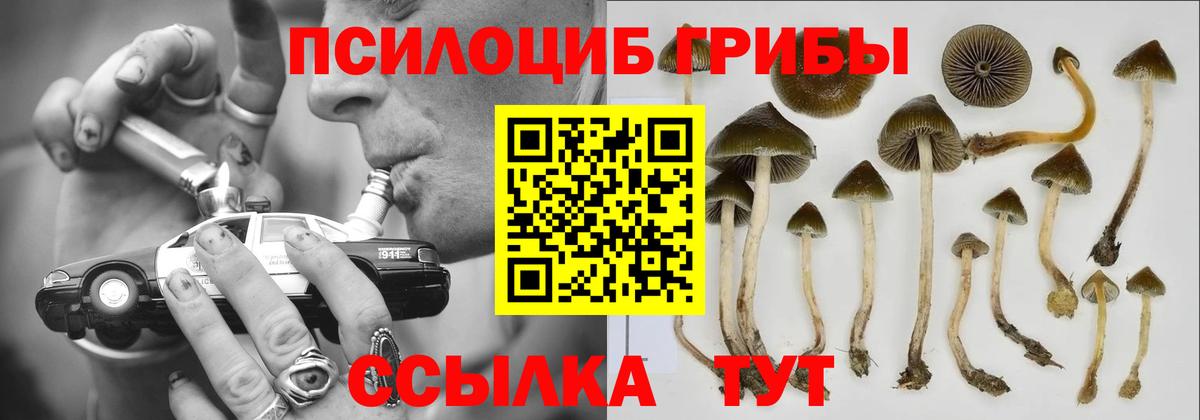 Псилоцибиновые грибы ЛСД  купить наркоту  Краснокаменск  Псилоцибиновые грибы прущие грибы  Вход с VPN 